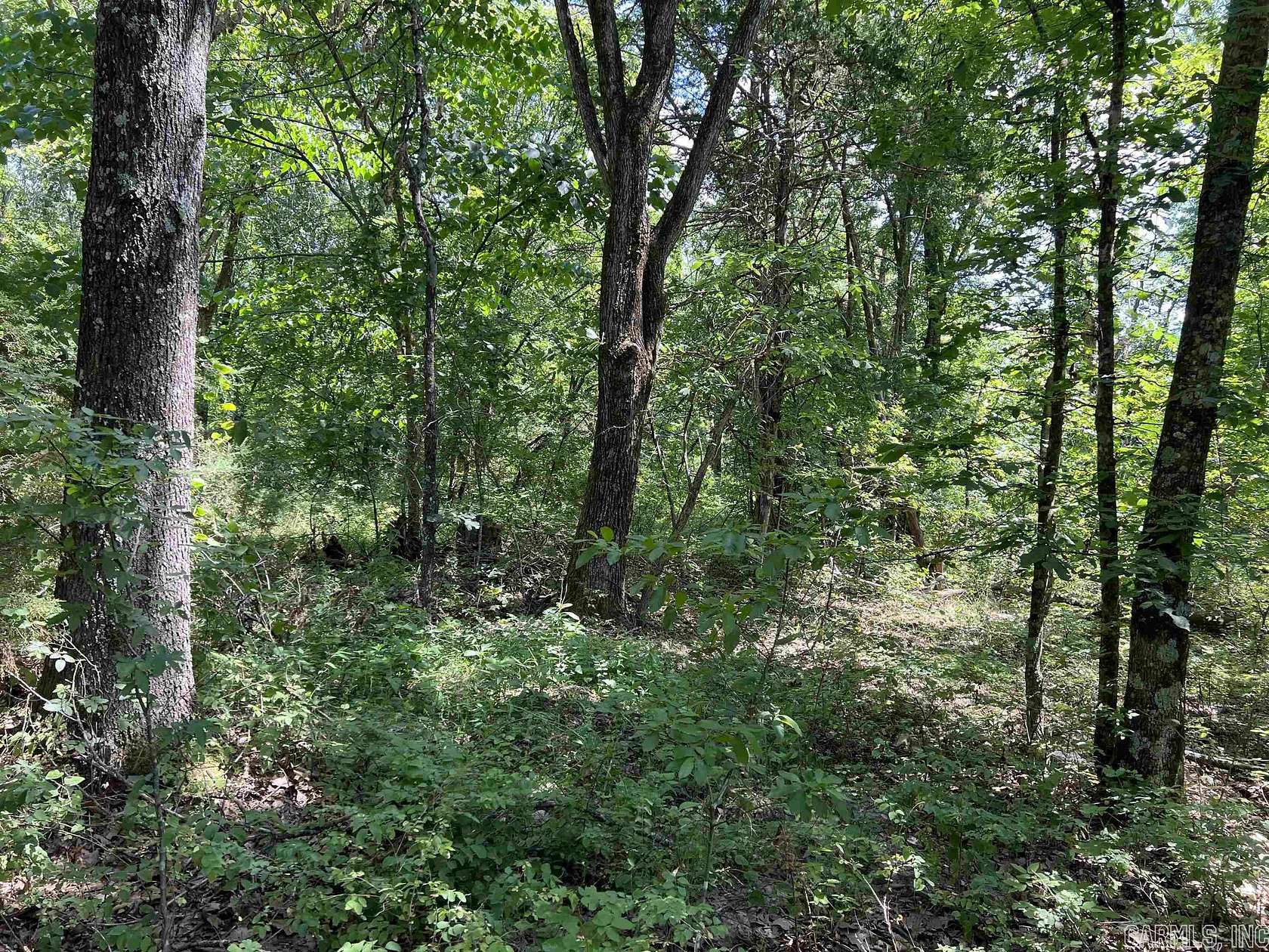 5.49 Acres of Land for Sale in Harrison, Arkansas