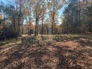 67.88 Acres of Land for Sale in Western Grove, Arkansas