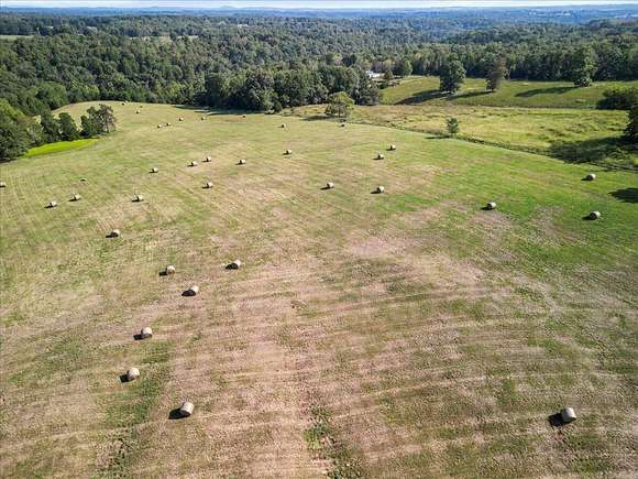 54 Acres of Agricultural Land for Sale in Tecumseh, Missouri