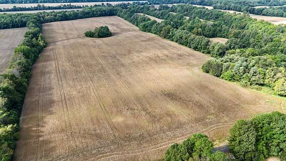 51 Acres of Recreational Land & Farm for Auction in Oscar, Kentucky