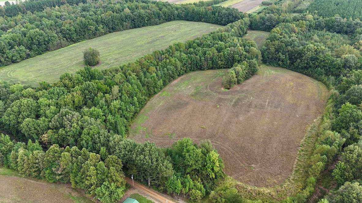 41 Acres of Recreational Land & Farm for Auction in Oscar, Kentucky