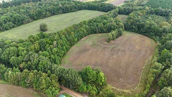 41 Acres of Recreational Land & Farm for Sale in Oscar, Kentucky