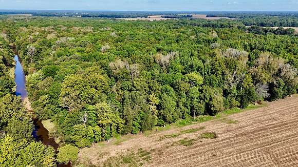 13 Acres of Recreational Land & Farm for Auction in Oscar, Kentucky