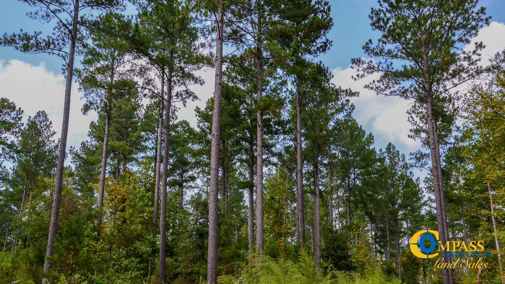 20 Acres of Recreational Land for Sale in Pacolet, South Carolina