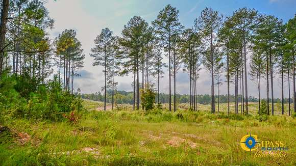 28 Acres of Recreational Land for Sale in Pacolet, South Carolina