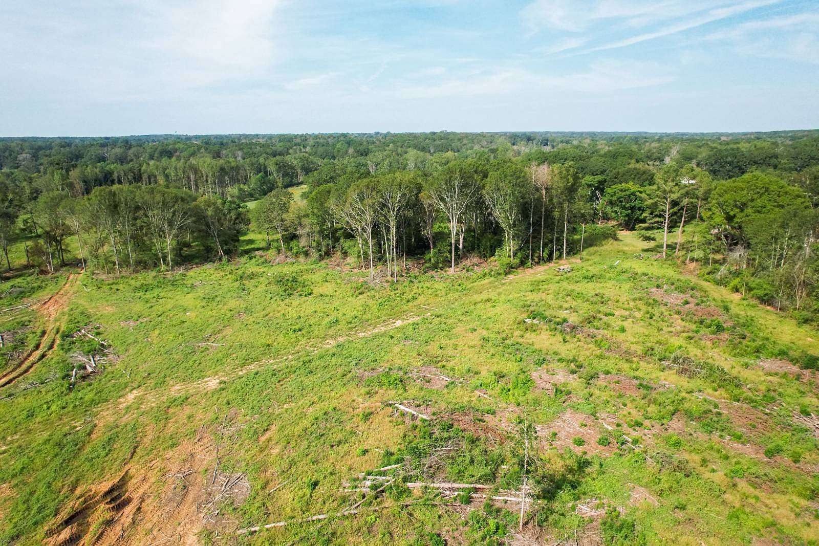 7.65 Acres of Residential Land for Sale in Mendenhall, Mississippi