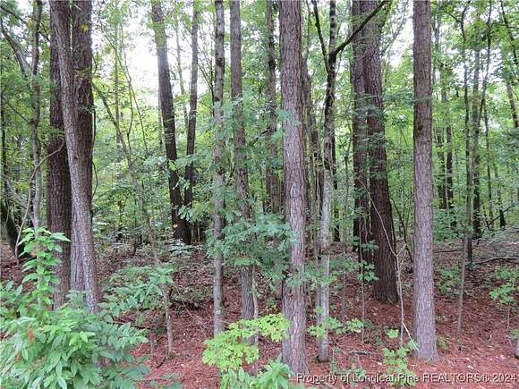 2.21 Acres of Residential Land for Sale in Sanford, North Carolina