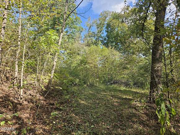 0.98 Acres of Residential Land for Sale in Sevierville, Tennessee