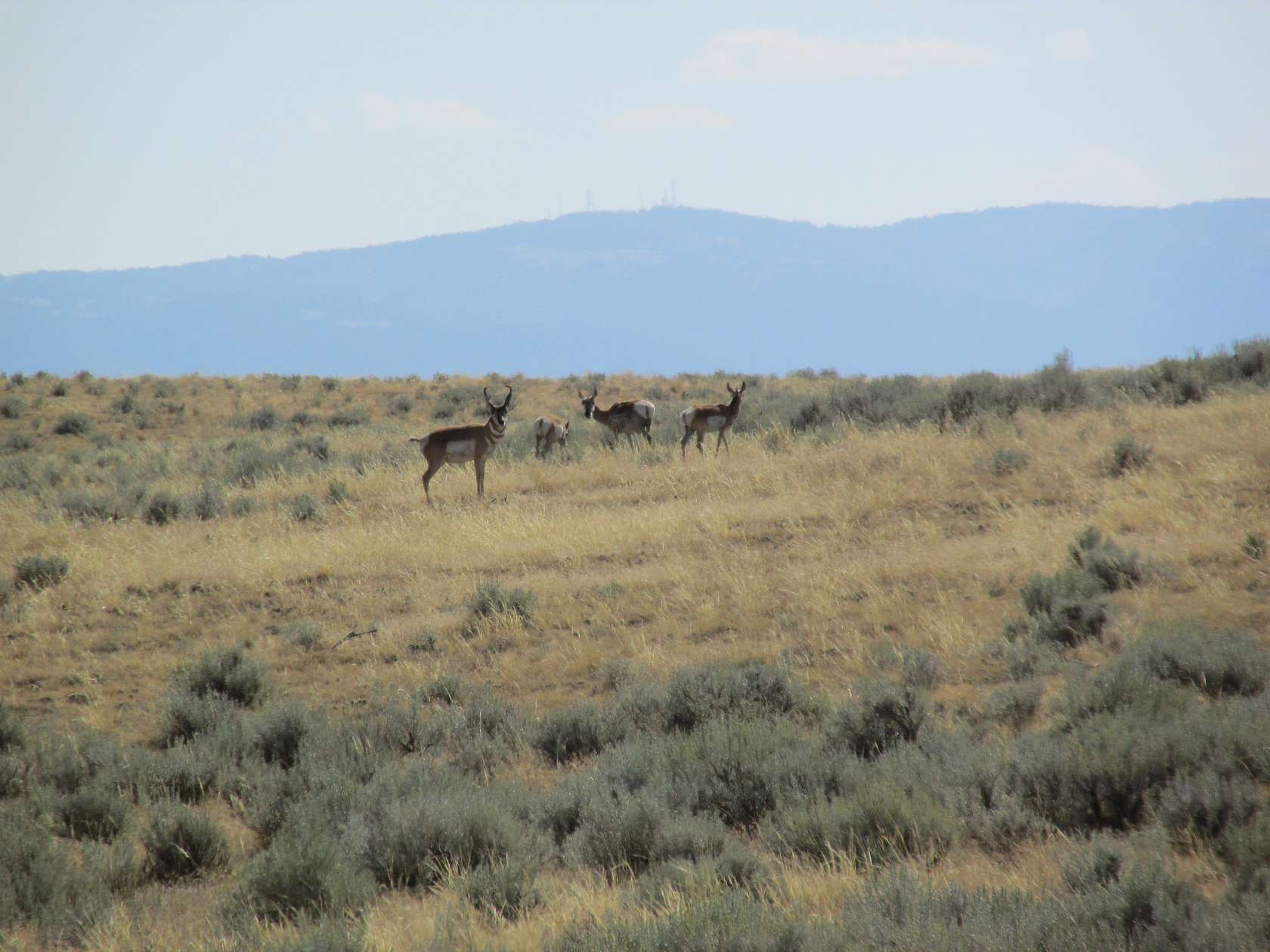 39 Acres of Recreational Land for Sale in Casper, Wyoming