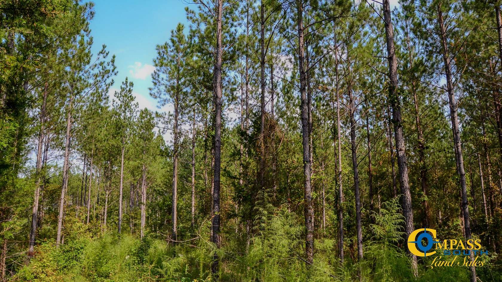 21 Acres of Recreational Land for Sale in Pacolet, South Carolina