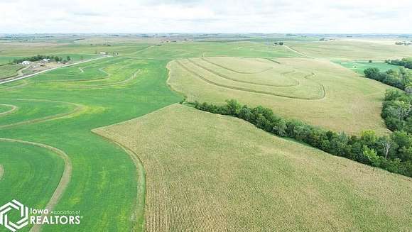 294 Acres of Agricultural Land for Auction in Henderson, Iowa