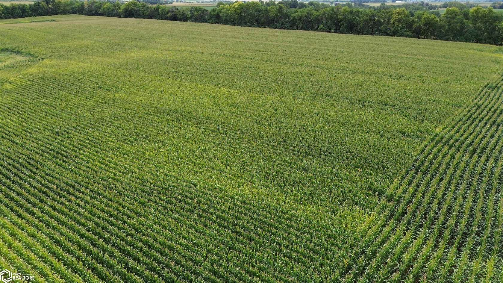 190 Acres of Recreational Land & Farm for Sale in Bloomfield, Iowa