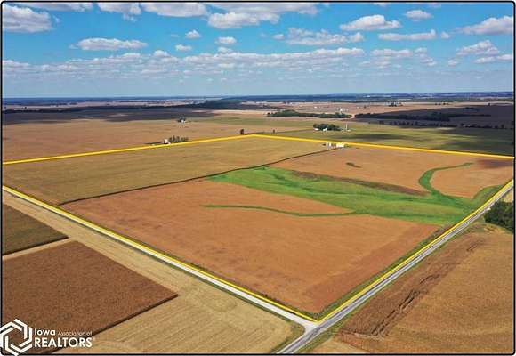 81.48 Acres of Agricultural Land for Auction in Seaton, Illinois