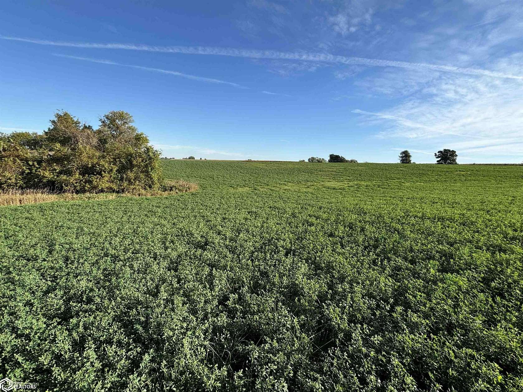 17.9 Acres of Land for Sale in Richland, Iowa