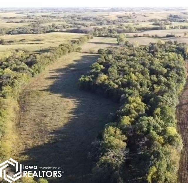 39.86 Acres of Land for Sale in Bedford, Iowa