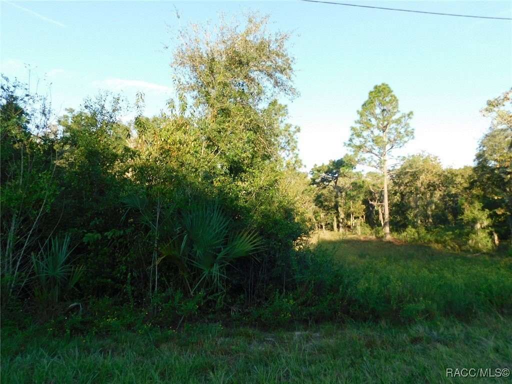 1 Acre of Residential Land for Sale in Dunnellon, Florida