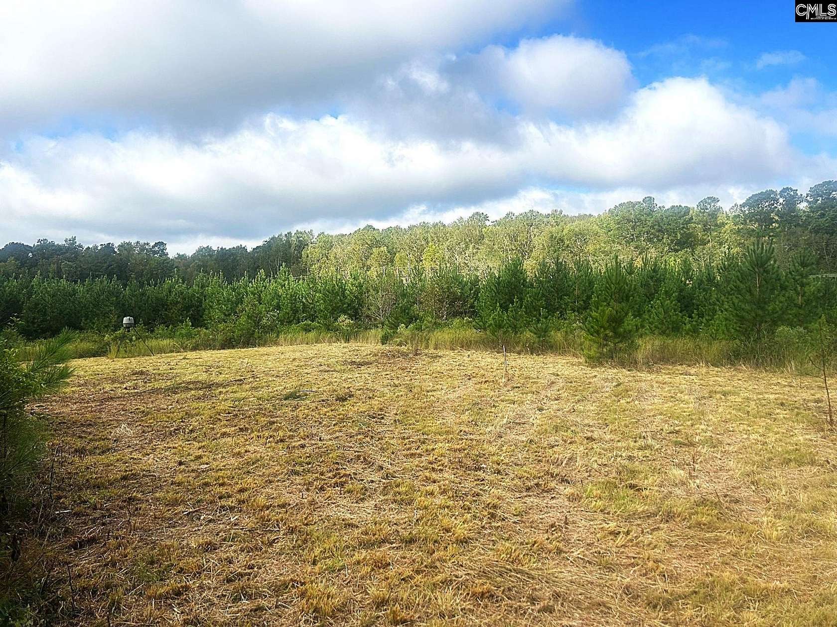 13 Acres of Land for Sale in Prosperity, South Carolina