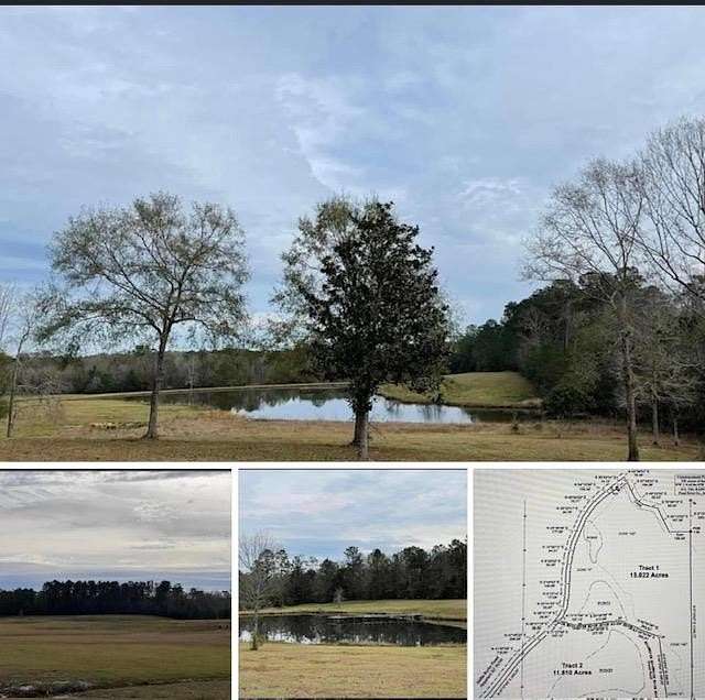 26.83 Acres of Recreational Land for Sale in Carriere, Mississippi