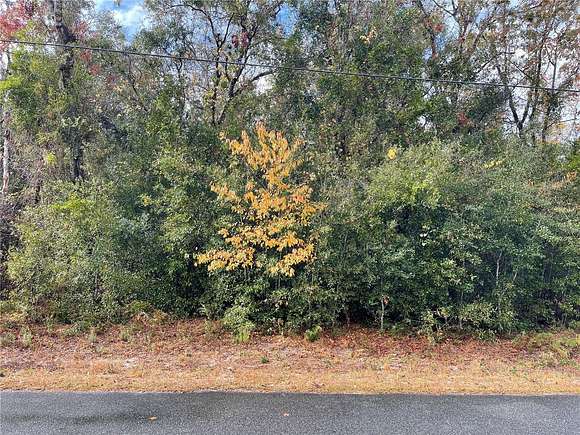 0.29 Acres of Residential Land for Sale in Summerfield, Florida