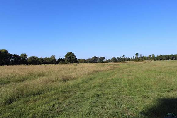 25 Acres of Agricultural Land for Sale in Jefferson, Texas