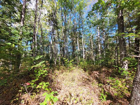 Land for Sale in Ocqueoc, Michigan