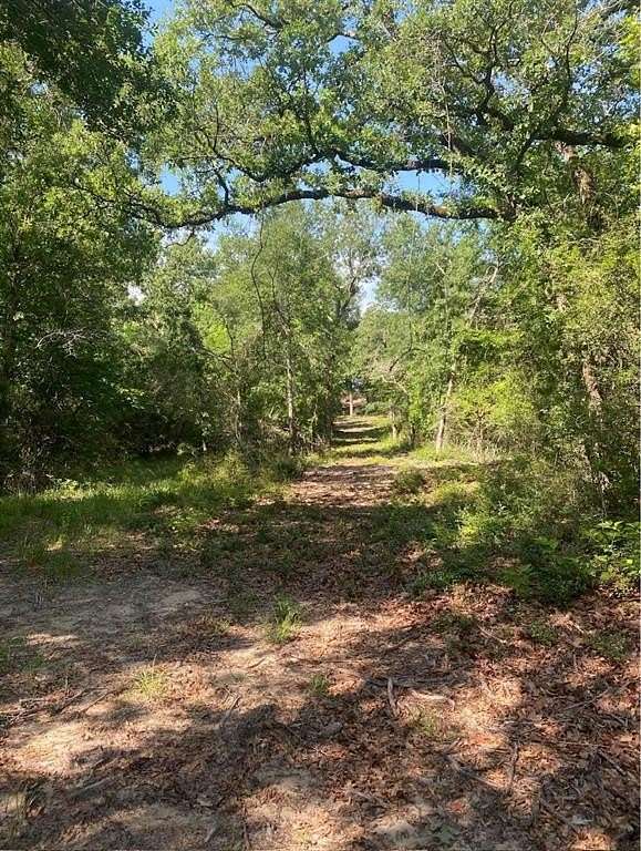 19.94 Acres of Land for Sale in Buffalo, Texas