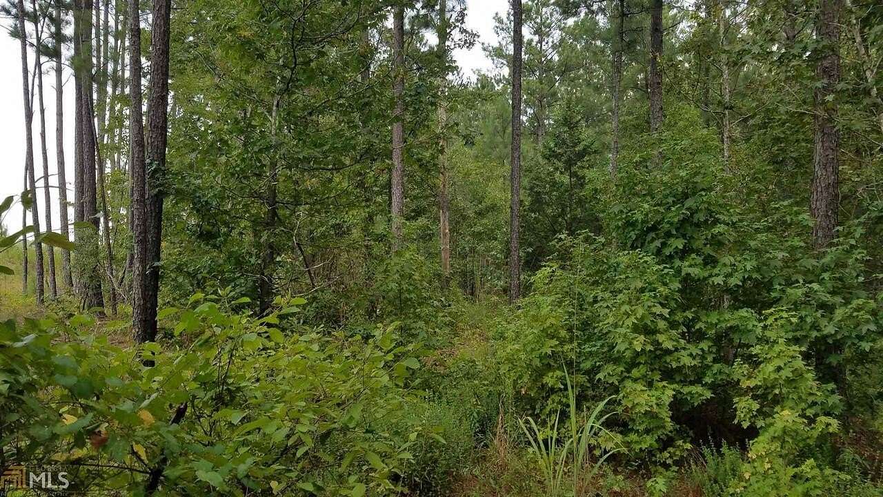 4 Acres of Residential Land for Sale in Thomaston, Georgia