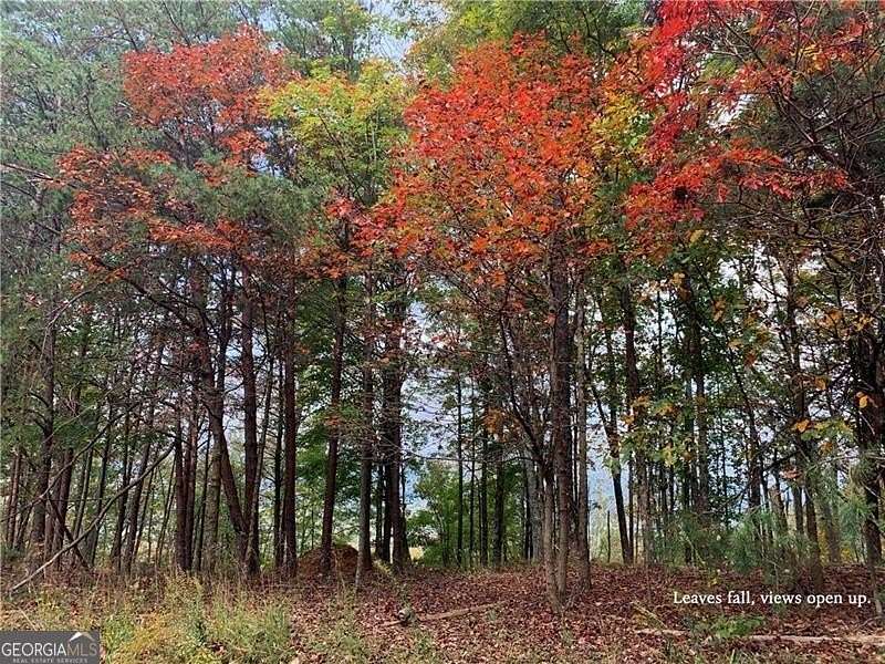 1.38 Acres of Land for Sale in Ranger, Georgia