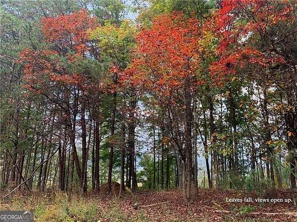 1.38 Acres of Land for Sale in Ranger, Georgia