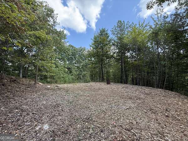 3.75 Acres of Residential Land for Sale in Ranger, Georgia