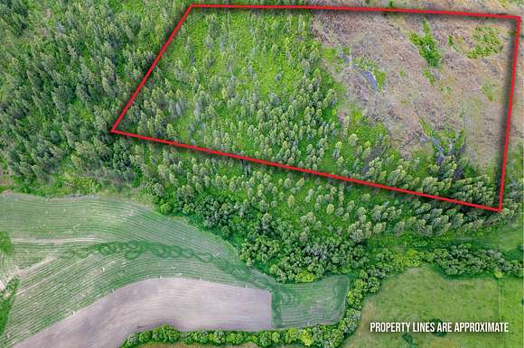 20 Acres of Land for Sale in Fruitland, Washington