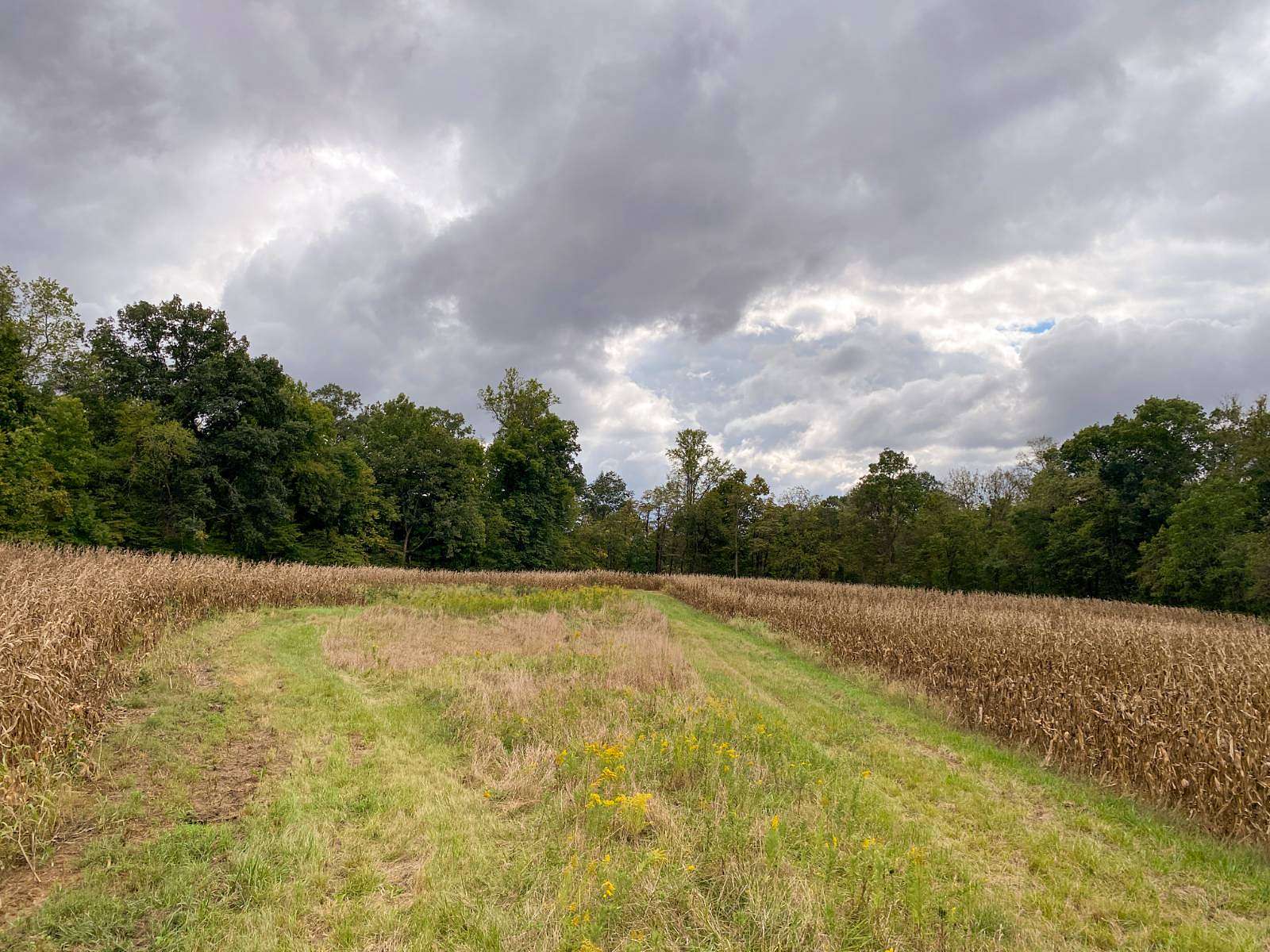 74 Acres of Land for Sale in West Terre Haute, Indiana