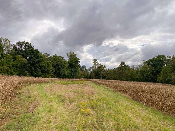 74 Acres of Land for Sale in West Terre Haute, Indiana