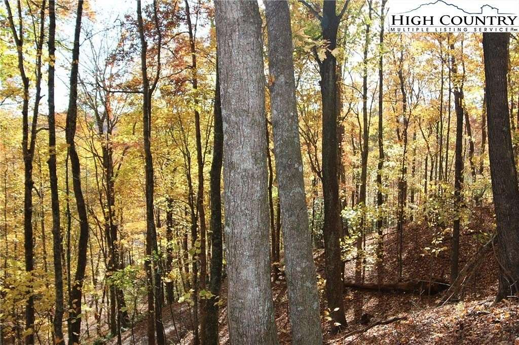 0.74 Acres of Residential Land for Sale in Fleetwood, North Carolina