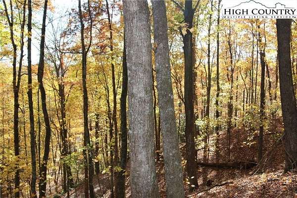 0.74 Acres of Residential Land for Sale in Fleetwood, North Carolina
