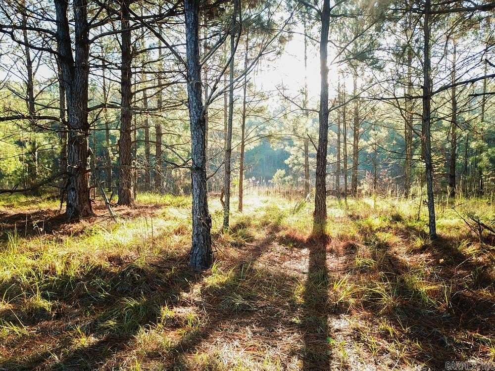 123 Acres of Land for Sale in Bearden, Arkansas