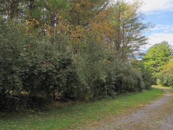 0.6 Acres of Residential Land for Sale in Laurel Fork, Virginia