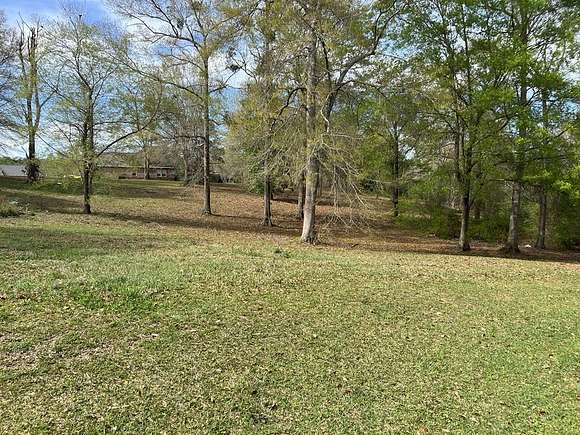 2.1 Acres of Mixed-Use Land for Sale in Carriere, Mississippi