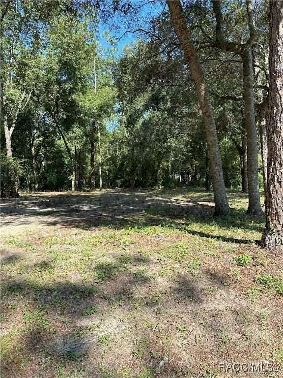 0.25 Acres of Land for Sale in Citrus Springs, Florida