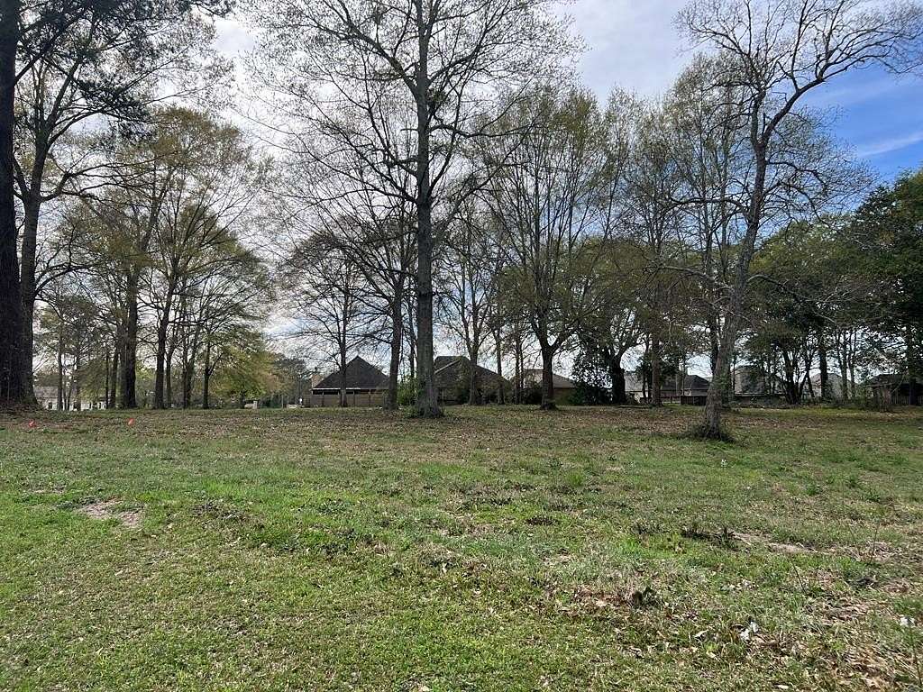 2.37 Acres of Residential Land for Sale in Carriere, Mississippi