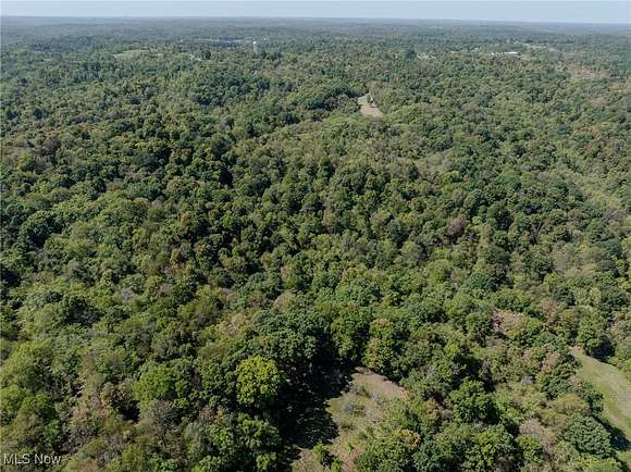 33 Acres of Recreational Land for Auction in Reedsville, Ohio