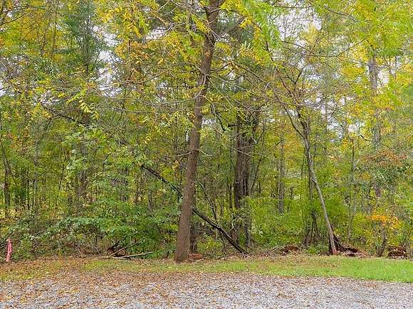 0.6 Acres of Residential Land for Sale in Laurel Fork, Virginia