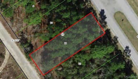 0.17 Acres of Residential Land for Sale in Citrus Springs, Florida