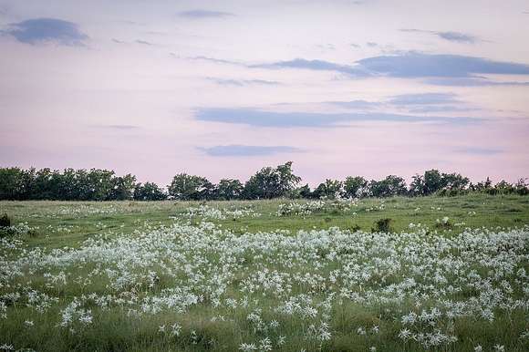 6.1 Acres of Land for Sale in Carmine, Texas