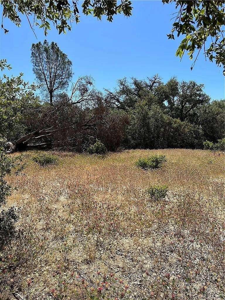 15.01 Acres of Land for Sale in Mariposa, California