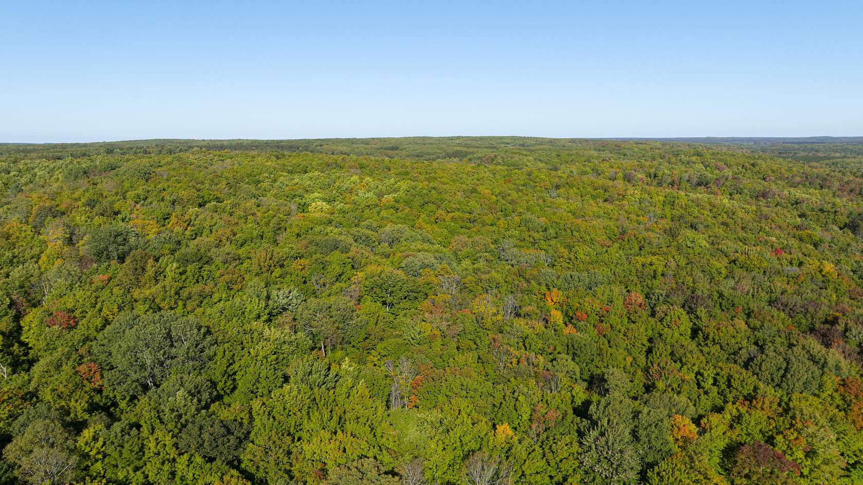 42 Acres of Recreational Land for Sale in Kalkaska, Michigan