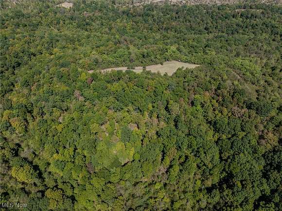 85 Acres of Recreational Land for Auction in Reedsville, Ohio