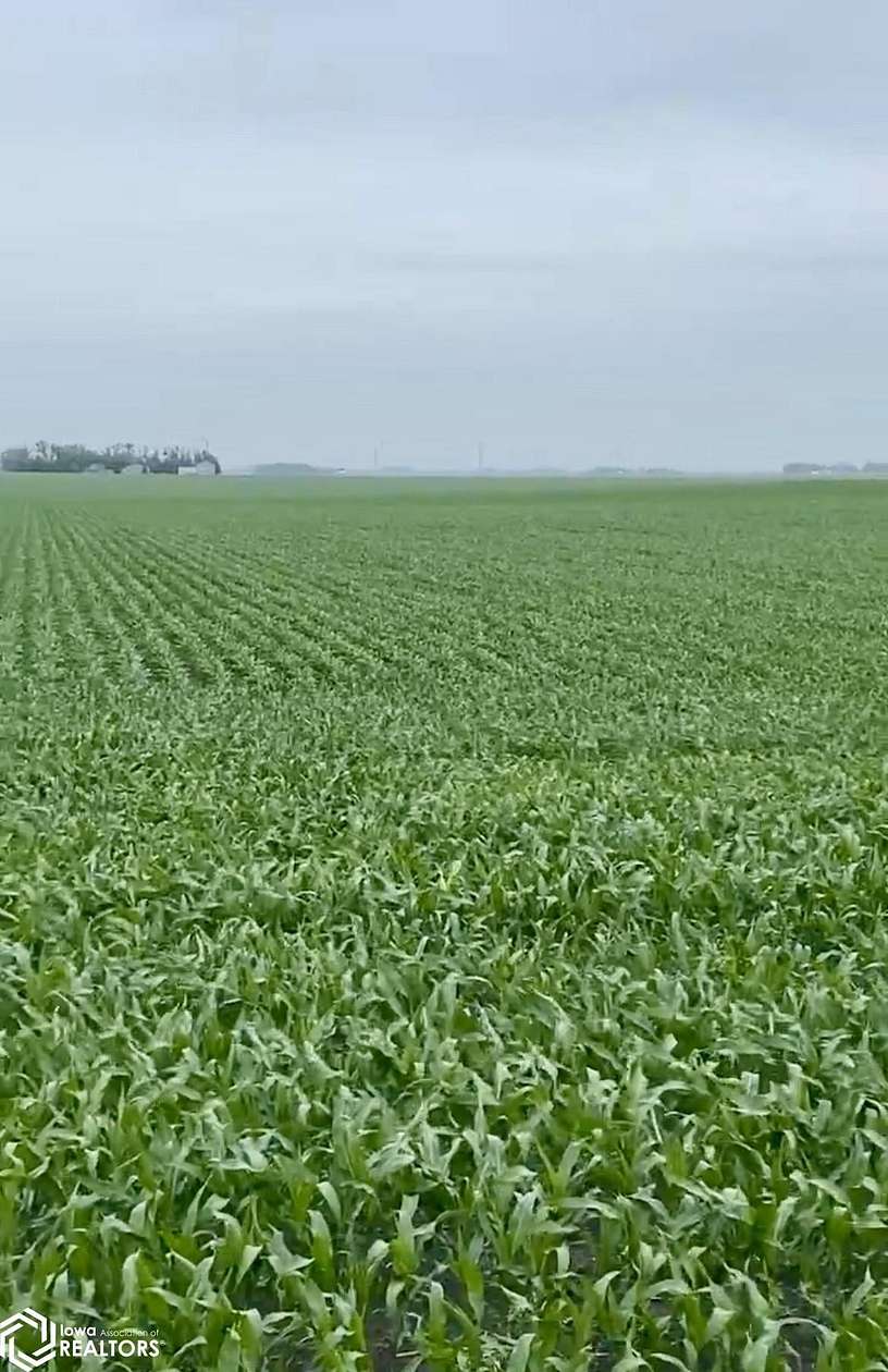 157.49 Acres of Agricultural Land for Sale in Lu Verne, Iowa