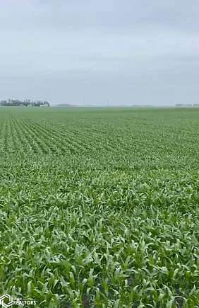 157.49 Acres of Agricultural Land for Sale in Lu Verne, Iowa