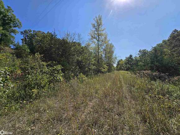 17 Acres of Recreational Land & Farm for Sale in Afton, Iowa